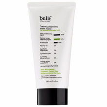 Load image into Gallery viewer, Belif Creamy cleansing foam moist 160 ml