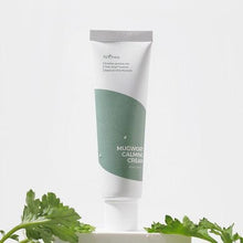 Load image into Gallery viewer, Isntree Mugwort Calming Cream 50ml