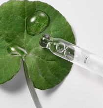 Load image into Gallery viewer, Beplain Cicaful Ampoule 30ml